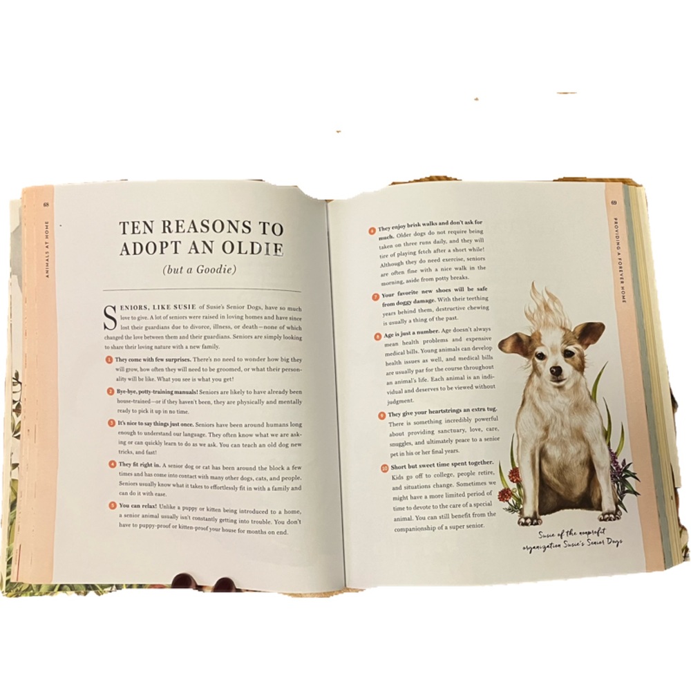 📚 Do Unto Animals - Picture 4 of 6